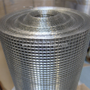 Galvanized Welded Wire Mesh